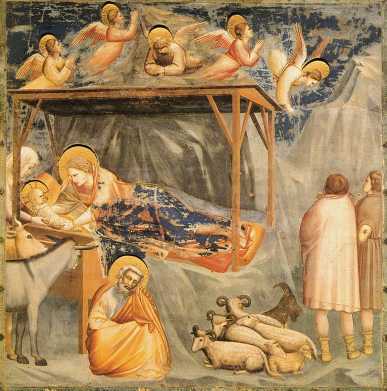 Narodziny Chrystusa - Giotto